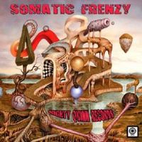 Produktbild: Various: Somatic Frenzy
