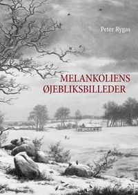 Produktbild: Melankoliens &oslash;jebliksbilleder