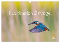 Produktbild: Faszination Eisvogel (Wandkalender 2027 DIN A3 quer), CALVENDO Monatskalender