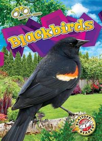 Produktbild: Blackbirds