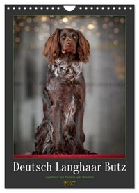 Produktbild: Deutsch Langhaar Butz - Jagdhund mit Passion und Herzblut (Wandkalender 2027 DIN A4 hoch), CALVENDO Monatskalender