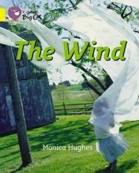 Produktbild: The Wind