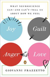 Produktbild: Joy, Guilt, Anger, Love