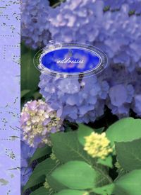 Produktbild: Paradise Found Mini Address Book