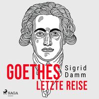 Produktbild: Goethes letzte Reise