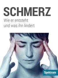 Bild vom Artikel Schmerz vom Autor 