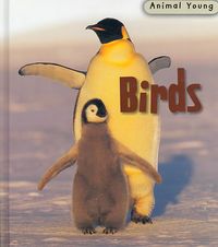 Produktbild: Birds