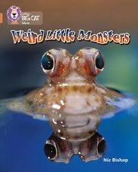 Produktbild: Weird Little Monsters