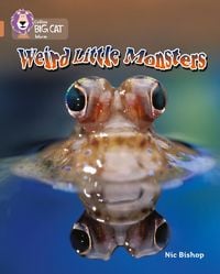 Produktbild: Weird Little Monsters