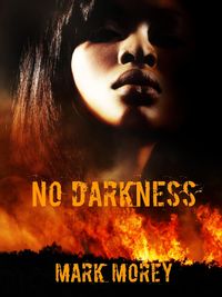 Produktbild: No Darkness