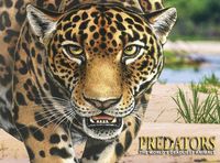 Produktbild: Predators