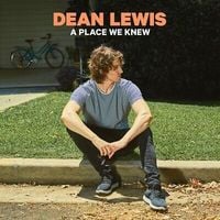 Produktbild: A Place We Knew