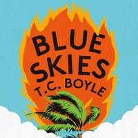 Produktbild: Blue Skies