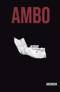 Produktbild: Ambo