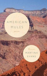 Produktbild: American Mules
