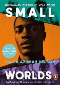 Produktbild: Small Worlds