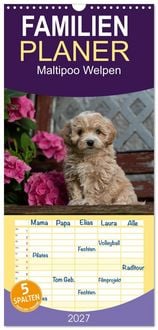Produktbild: Familienplaner 2027 - Maltipoo Welpen mit 5 Spalten (Wandkalender, 21 x 45 cm) CALVENDO
