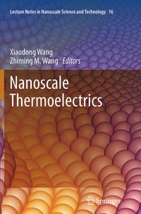 Produktbild: Nanoscale Thermoelectrics