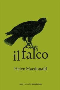 Produktbild: Il falco