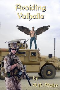 Produktbild: Avoiding Valhalla