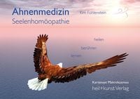 Produktbild: Ahnenmedizin und Seelenhom&ouml;opathie - Kartenset Makrokosmos