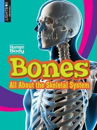 Produktbild: Bones: All about the Skeletal System