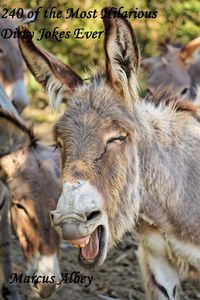 Produktbild: 240 of the Most Hilarious Dirty Jokes Ever (Collections and Anthologies, #8)