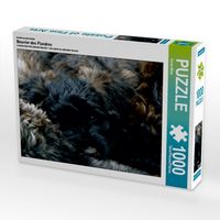 Produktbild: CALVENDO Puzzle Ein Motiv aus dem Kalender Bouvier des Flandres | 1000 Teile Lege-Gr&ouml;&szlig;e 64x48cm Foto-Puzzle f&uuml;r gl&uuml;ckliche Stunden