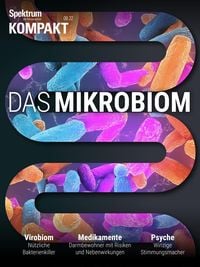 Bild vom Artikel Spektrum Kompakt - Das Mikrobiom vom Autor Spektrum der Wissenschaft