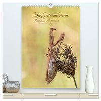 Produktbild: Die Gottesanbeterin. R&auml;uber der Insektenwelt. (hochwertiger Premium Wandkalender 2026 DIN A2 hoch), Kunstdruck in Hochglanz