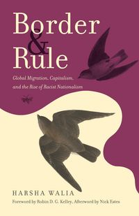 Produktbild: Border and Rule