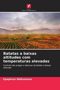 Produktbild: Batatas a baixas altitudes com temperaturas elevadas