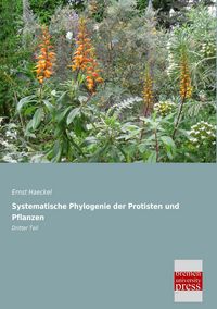 Produktbild: Systematische Phylogenie der Protisten und Pflanzen