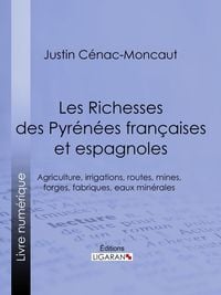 Bild vom Artikel Les Richesses des Pyrénées françaises et espagnoles vom Autor Ligaran