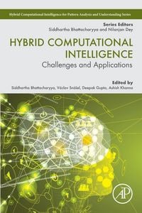 Produktbild: Hybrid Computational Intelligence