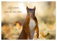 Produktbild: La nature pr&egrave;s de chez vous (Calendrier mural 2026 DIN A4 vertical), CALVENDO calendrier mensuel