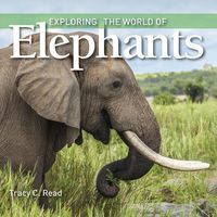 Produktbild: Exploring the World of Elephants