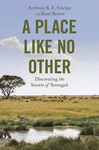 Produktbild: A Place like No Other