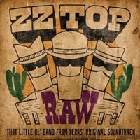 Produktbild: RAW (That Little Ol Band From Texas)