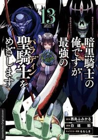 Produktbild: Dark Paladin 13