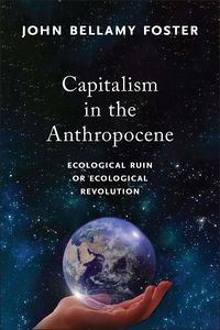 Produktbild: Capitalism in the Anthropocene