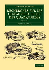 Produktbild: Recherches sur les ossemens fossiles des quadrup&egrave;des - Volume 4