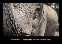 Produktbild: Elefanten - Die sanften Riesen Afrikas 2027 Fotokalender DIN A3