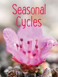 Produktbild: Seasonal Cycles