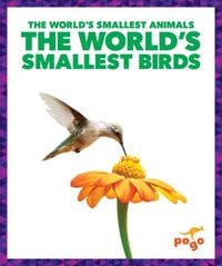 Produktbild: The World's Smallest Birds