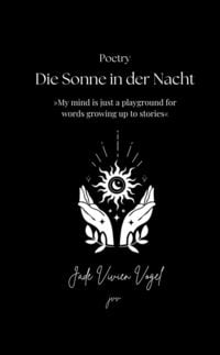 Produktbild: Die Sonne in der Nacht