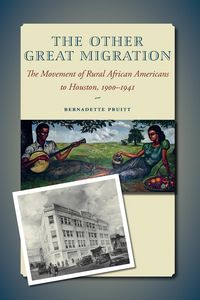 Produktbild: The Other Great Migration