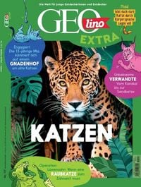 Produktbild: GEOlino Extra / GEOlino extra 117/2026 - Katzen