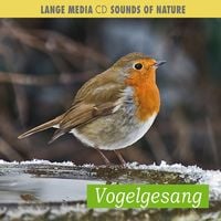 Produktbild: Naturgeräusche - Vogelgesang