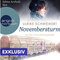 Bild vom Artikel Berlin Friedrichstraße: Novembersturm (Nur bei uns!) vom Autor Ulrike Schweikert
